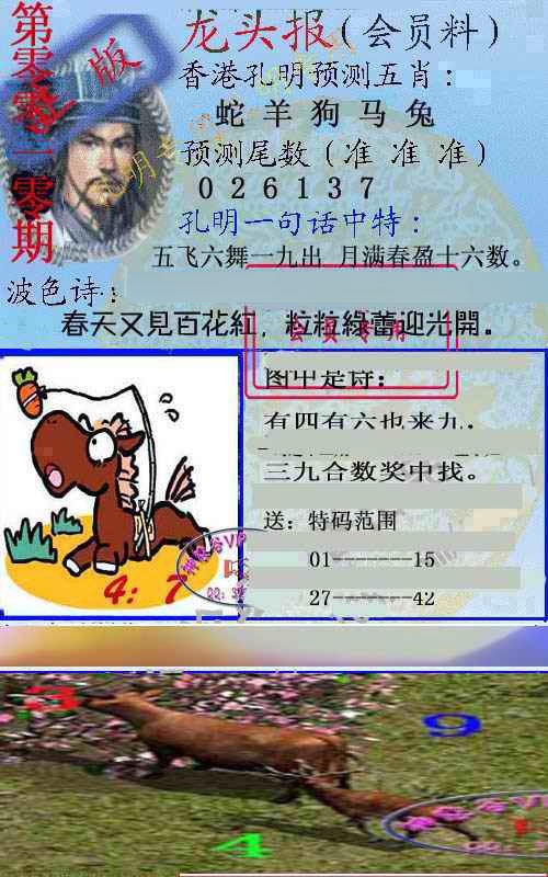 010期龙头报[图]