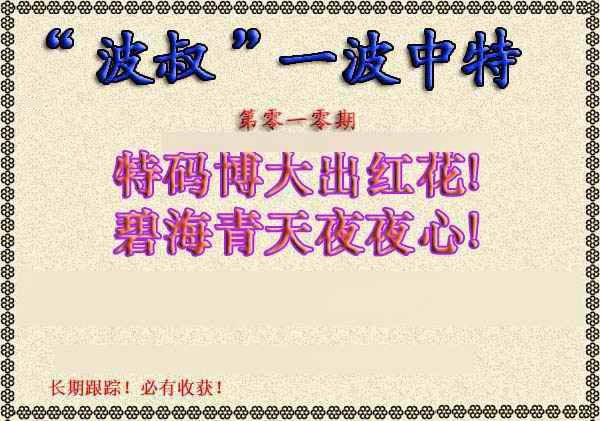 010期波叔一波中特[图]