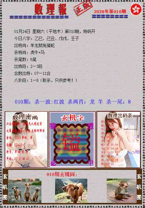 010期数理报[图]