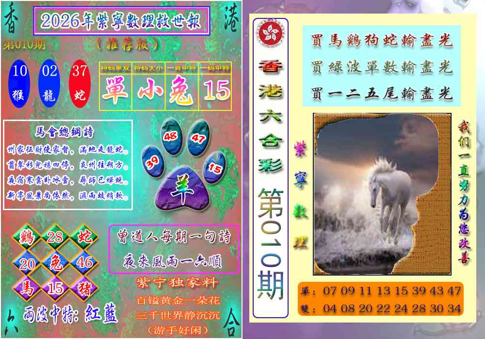 010期数理救世报[图]