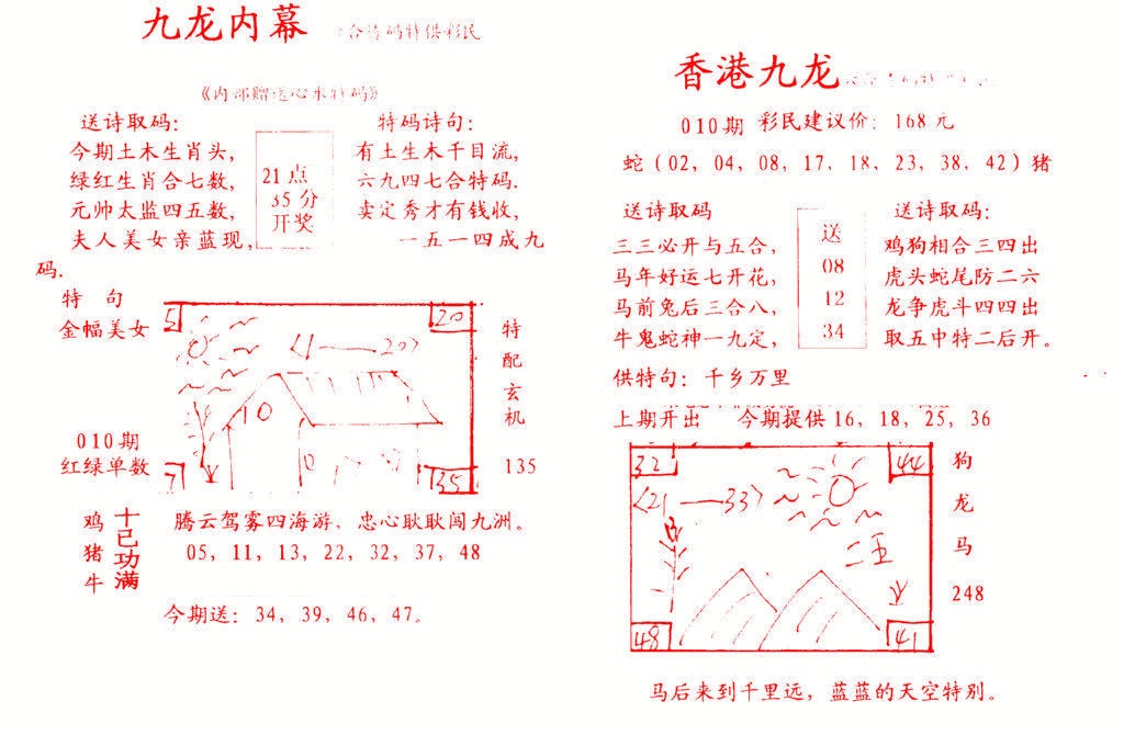 010期九龙内幕[图]