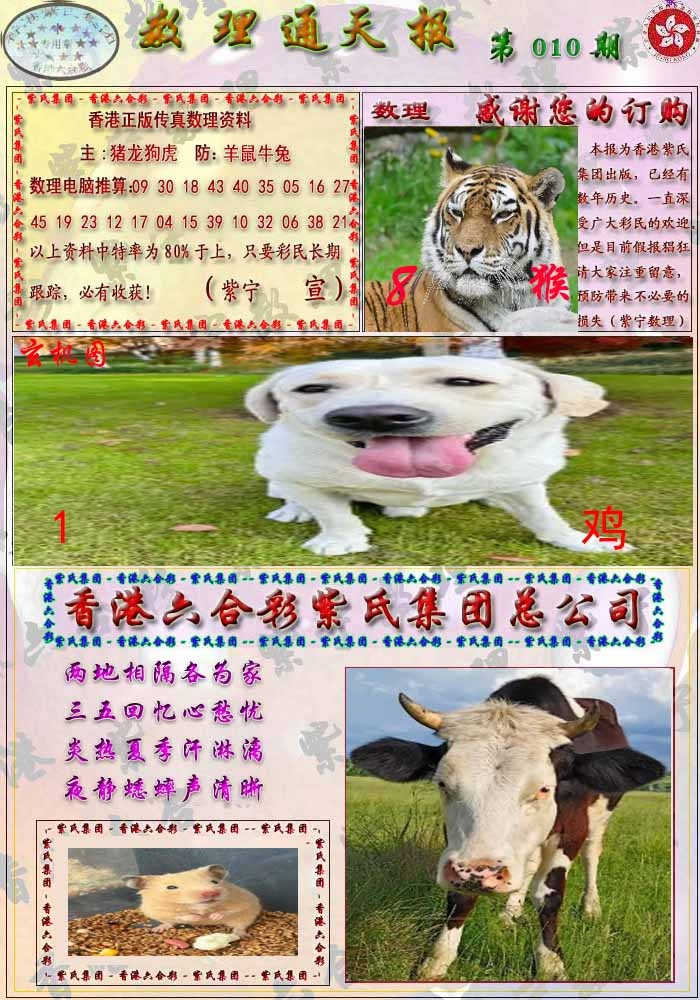 010期数通报[图]