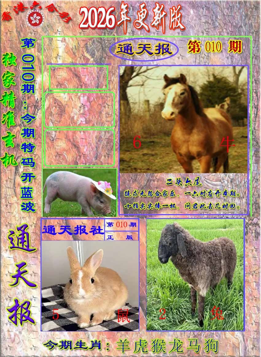 010期新通报[图]