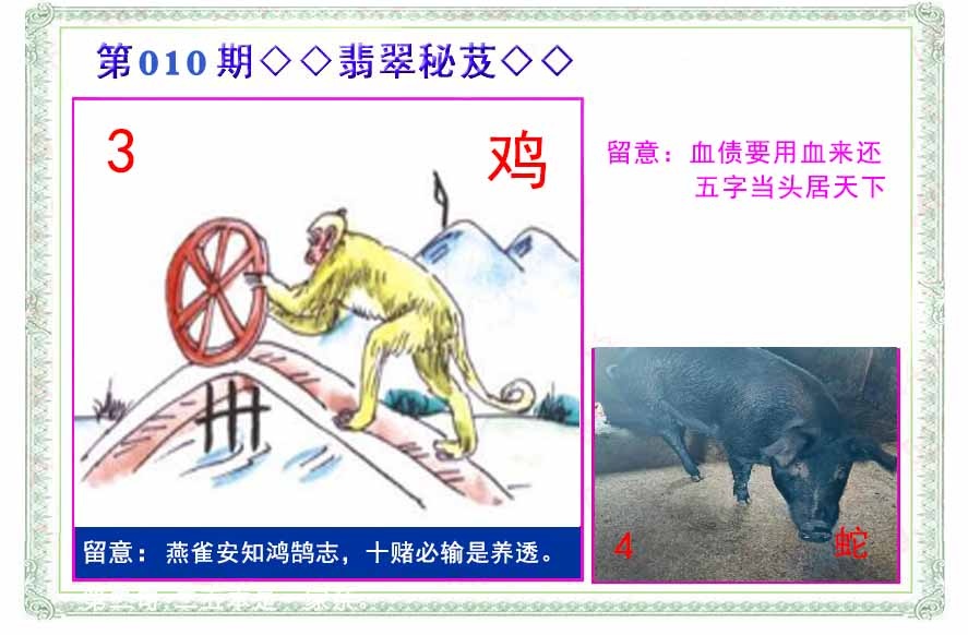 010期翡翠报[图]