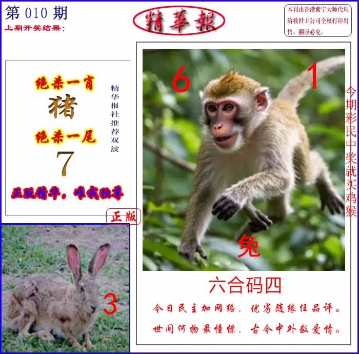 010期新精华报报[图]