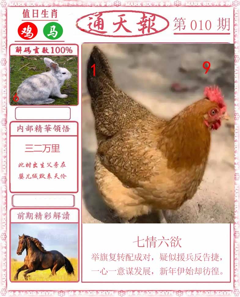 010期正版通天报[图]