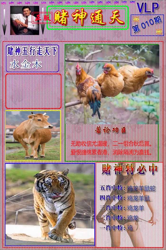 010期赌神通天报[图]