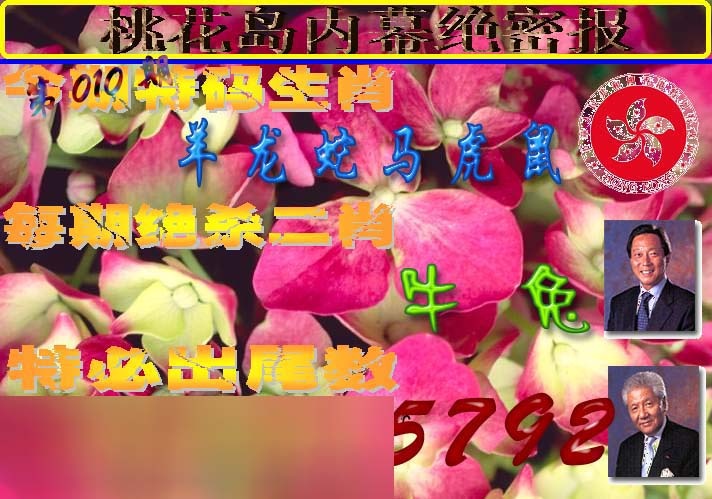 010期桃花岛内幕报[图]