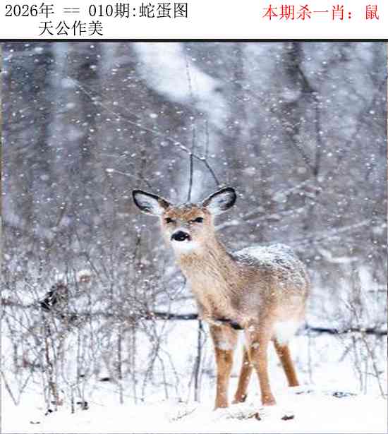 010期正版蛇蛋图[图]