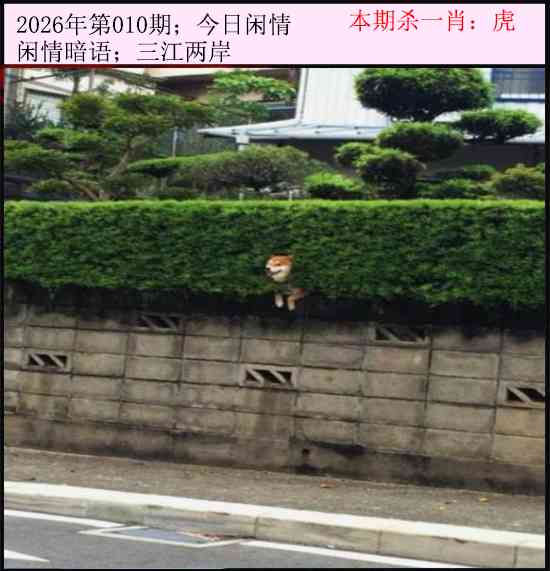 010期今日闲情[图]