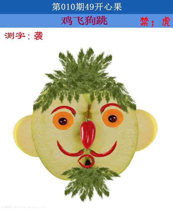 010期四九开心果[图]