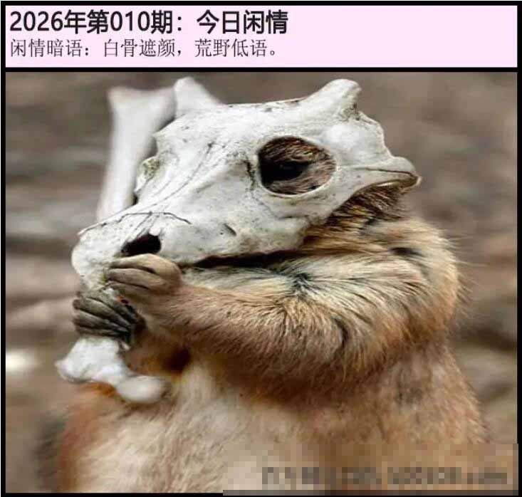 010期另版今日闲情[图]