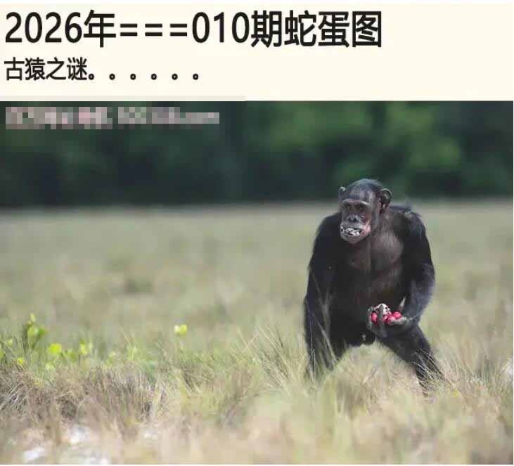 010期另版蛇蛋图[图]